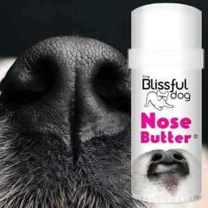 the-blissful-dog-nose-butter-2/25-oz